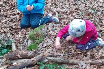 Geschichten im Wald 2023 5